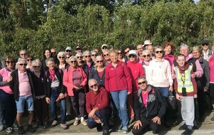 RANDO OCTOBRE ROSE