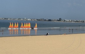 Belles vacances à tous